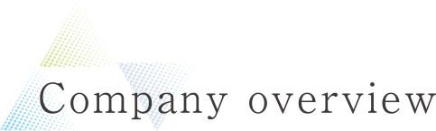 Company overview
