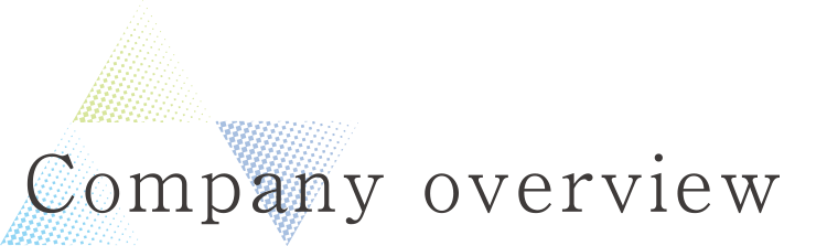 Company overview